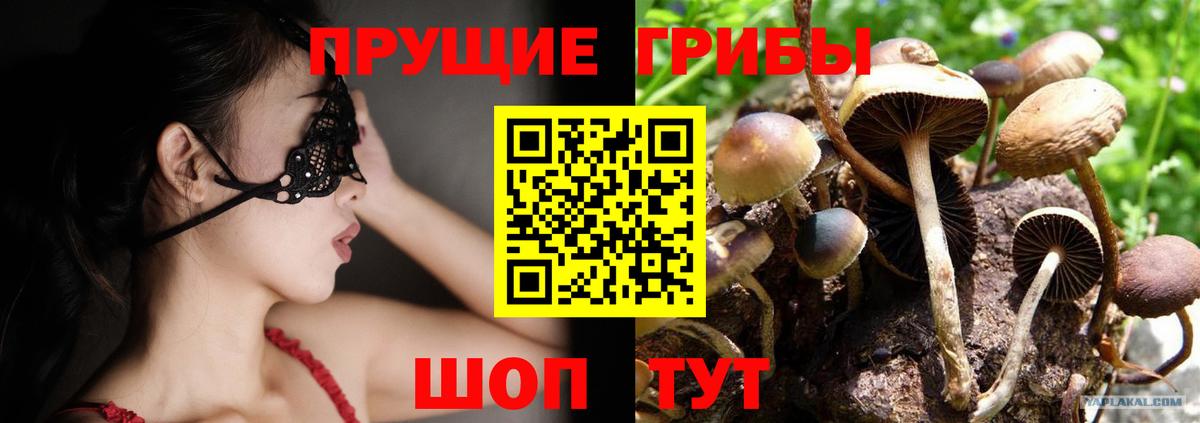 Мурманск  Псилоцибиновые грибы ЛСД  Вход с VPN  Галлюциногенные грибы мицелий 